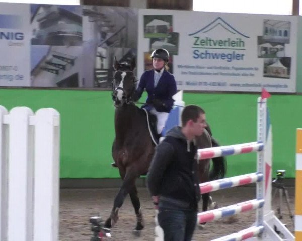 Reitturnier Walldorf 2018