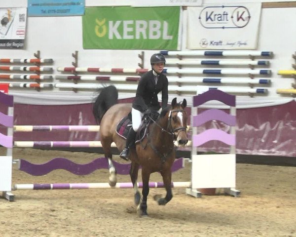 Reitturnier Eicherloh 2018