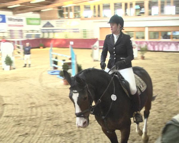 Reitturnier Eicherloh 2018