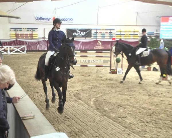 Reitturnier Eicherloh 2018