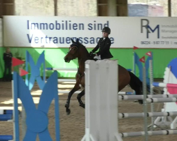 Reitturnier Walldorf 2018