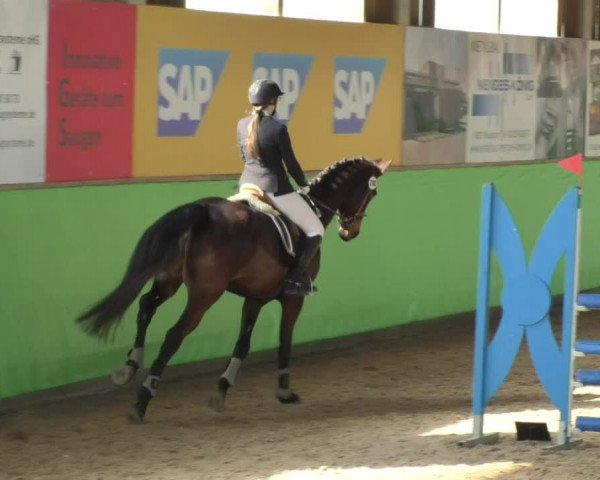 Reitturnier Walldorf 2018