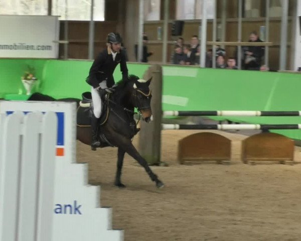 Reitturnier Walldorf 2018