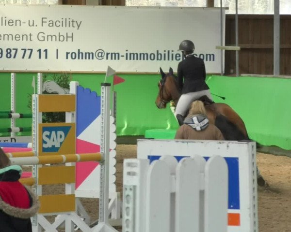 Reitturnier Walldorf 2018