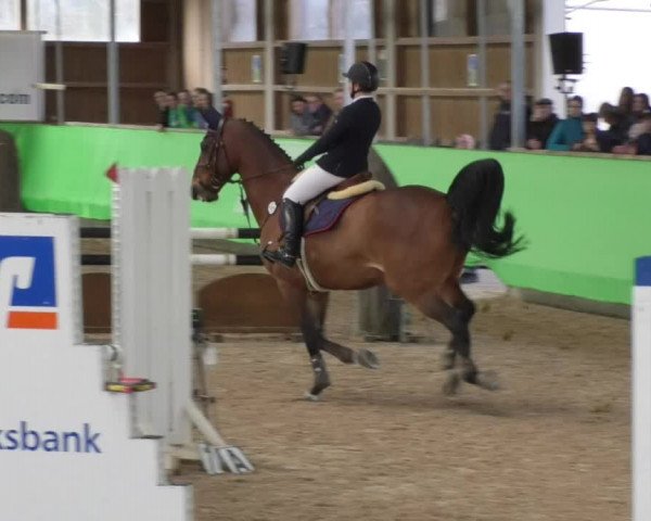 Reitturnier Walldorf 2018
