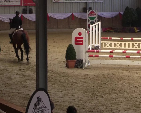 Reitturnier Goch 2018