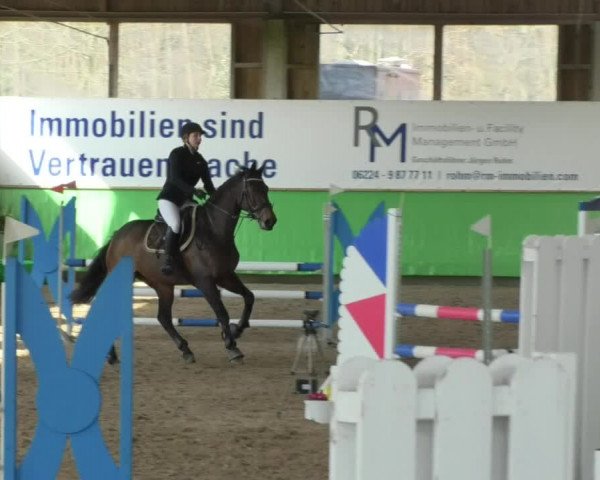 Reitturnier Walldorf 2018