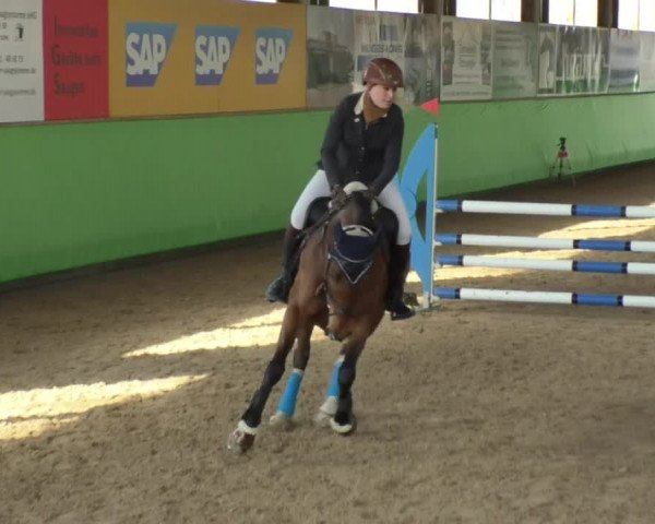 Reitturnier Walldorf 2018