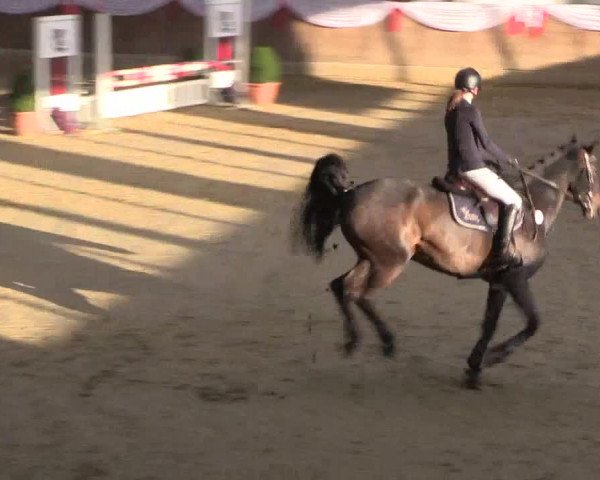 Reitturnier Goch 2018