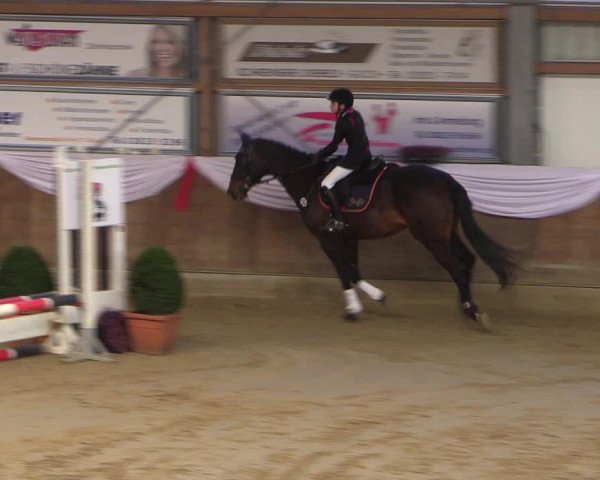 Reitturnier Goch 2018