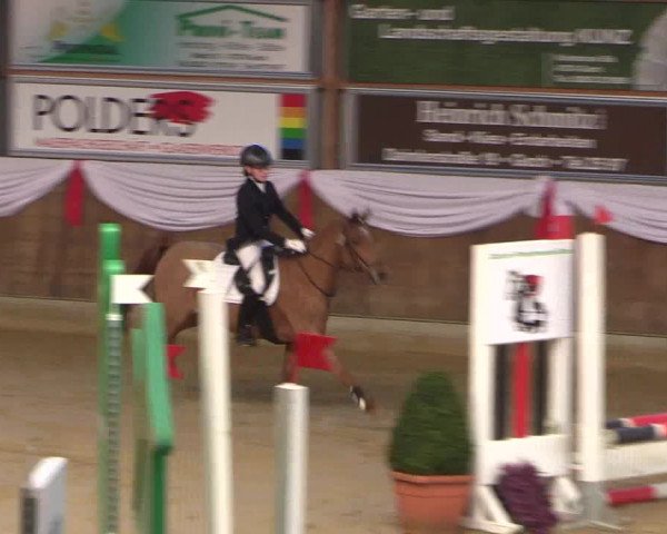 Reitturnier Goch 2018