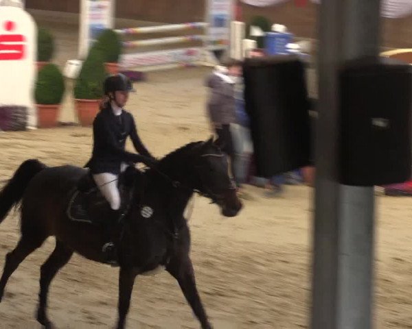 Reitturnier Goch 2018