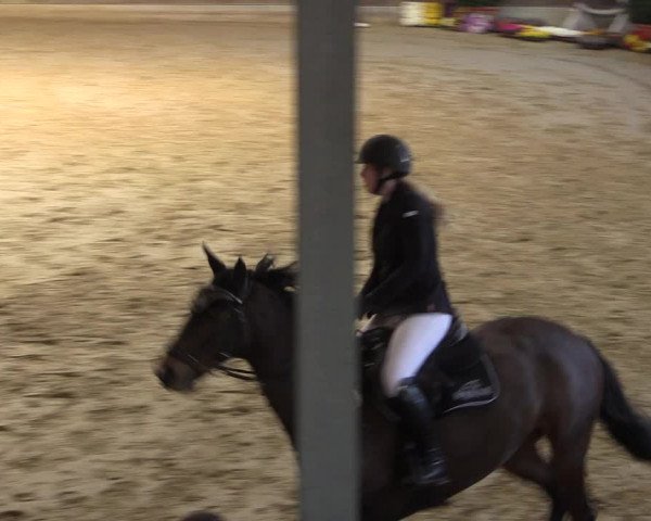 Reitturnier Goch 2018