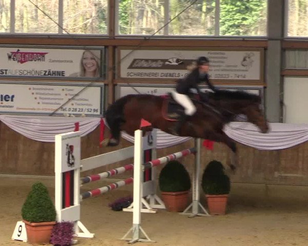 Reitturnier Goch 2018
