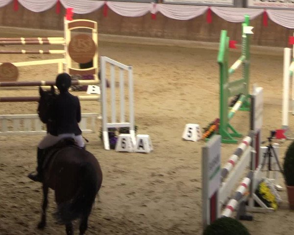 Reitturnier Goch 2018