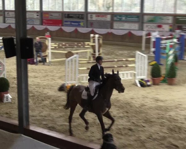 Reitturnier Goch 2018