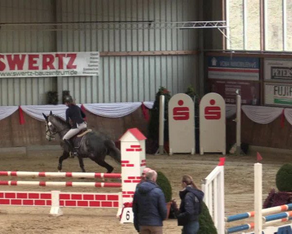 Reitturnier Goch 2018