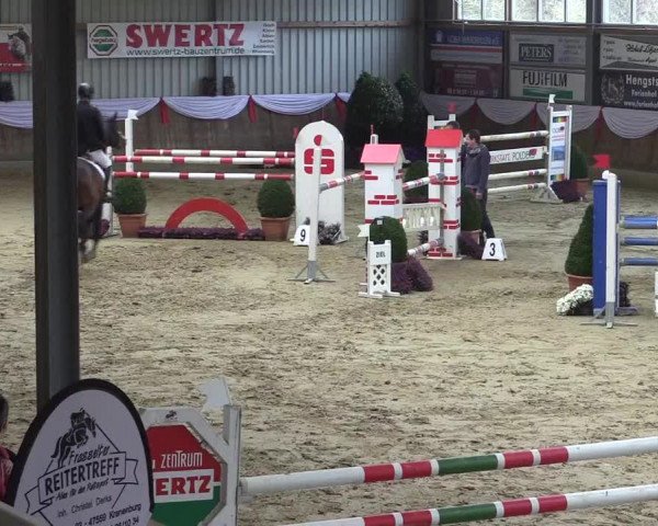Reitturnier Goch 2018