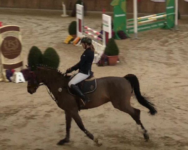 Reitturnier Goch 2018