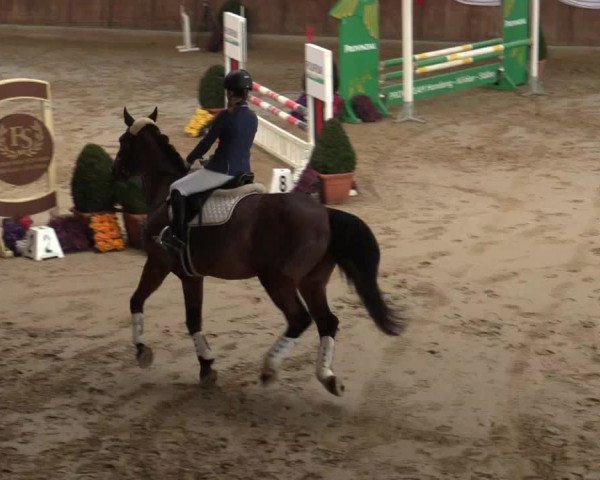 Reitturnier Goch 2018