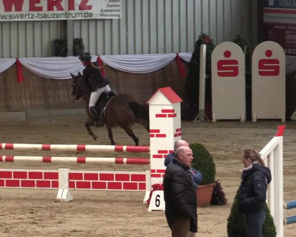Reitturnier Goch 2018