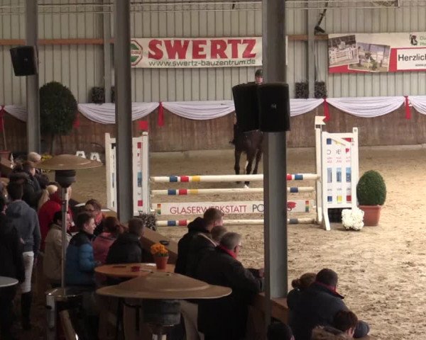 Reitturnier Goch 2018