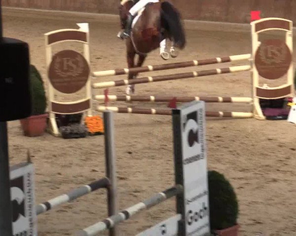 Reitturnier Goch 2018