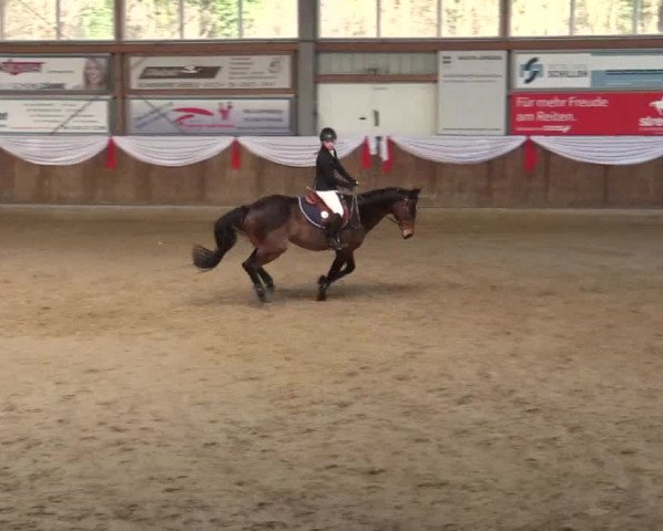 Reitturnier Goch 2018