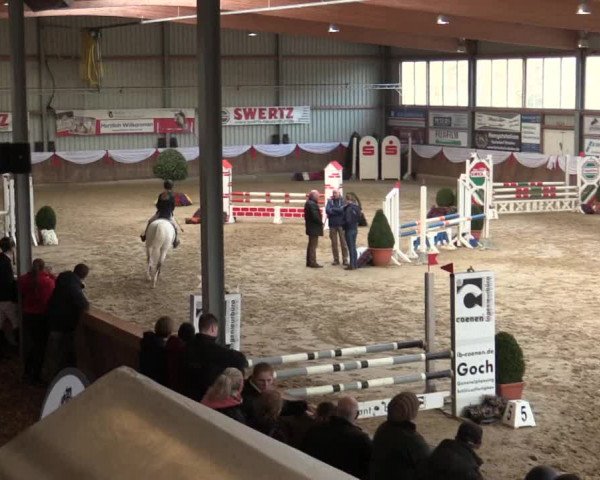 Reitturnier Goch 2018