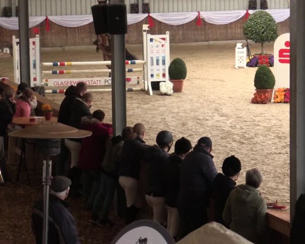 Reitturnier Goch 2018