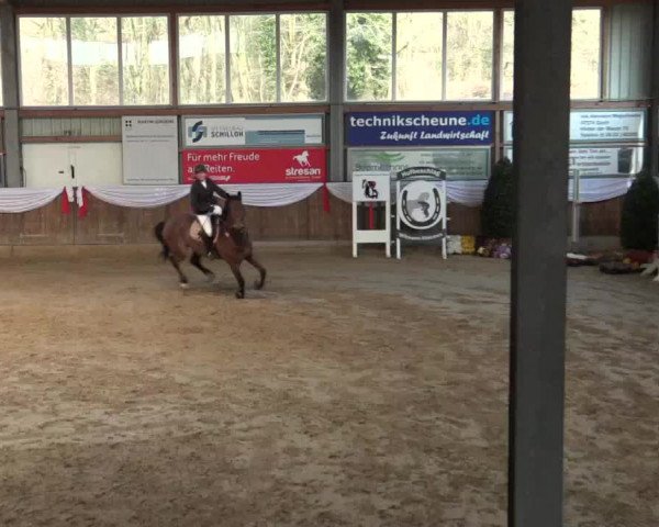 Reitturnier Goch 2018