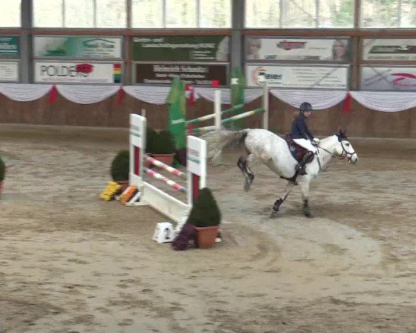 Reitturnier Goch 2018