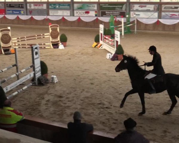 Reitturnier Goch 2018