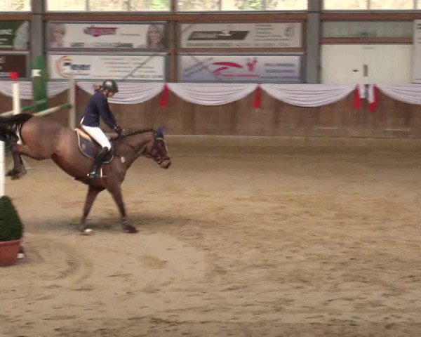 Reitturnier Goch 2018