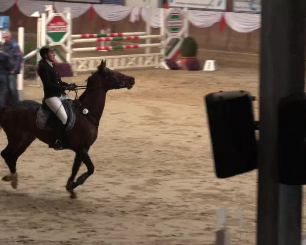 Reitturnier Goch 2018