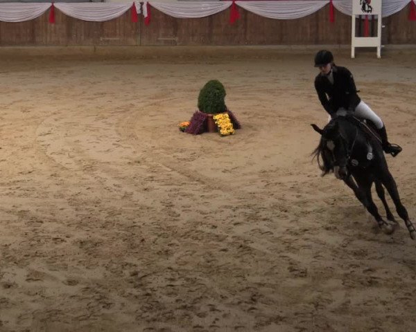 Reitturnier Goch 2018