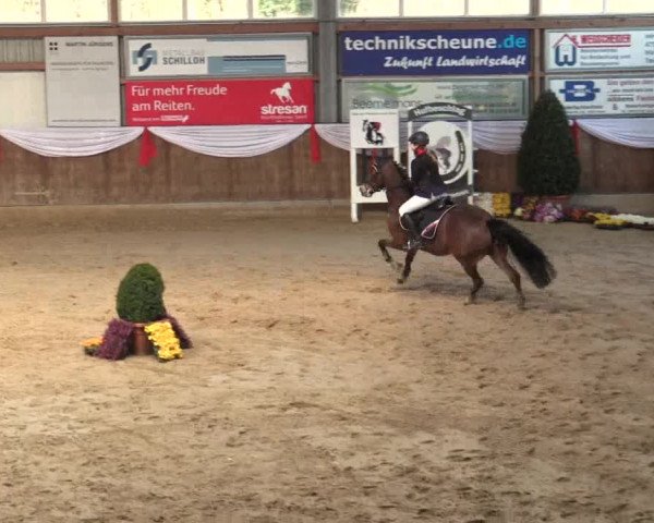 Reitturnier Goch 2018