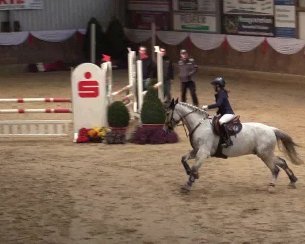 Reitturnier Goch 2018