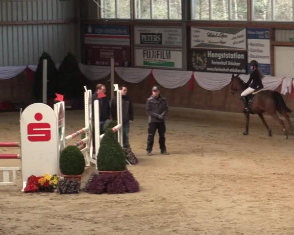 Reitturnier Goch 2018