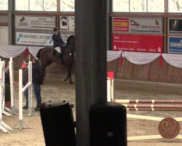 Reitturnier Goch 2018