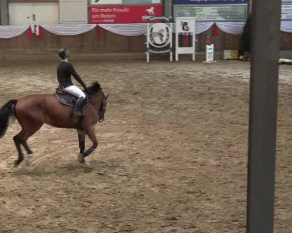 Reitturnier Goch 2018
