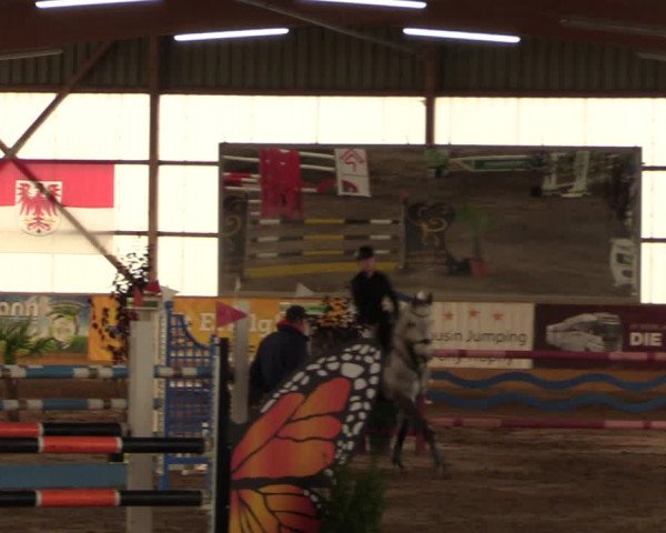 Große Jumping-Trophy Pausin 2021