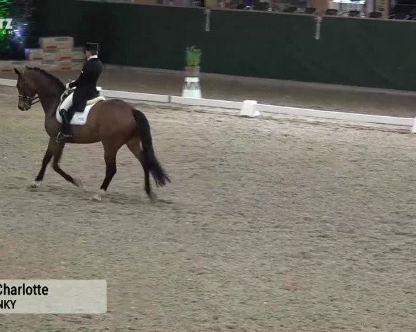 Horsepark Dressage Masters 2018