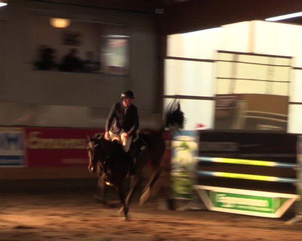 Große Jumping-Trophy Pausin 2021