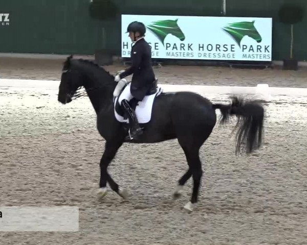 Horsepark Dressage Masters 2018