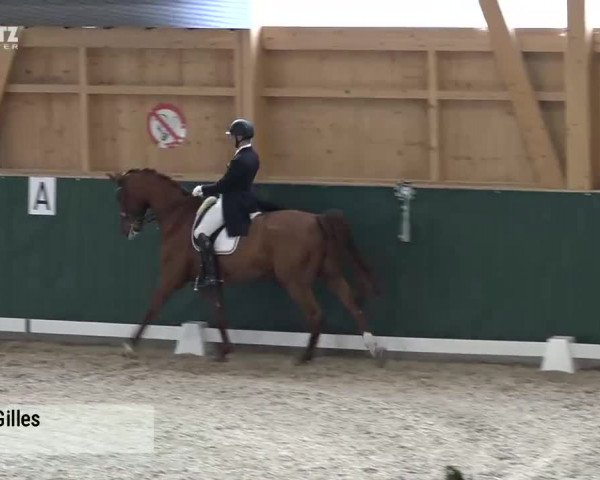 Horsepark Dressage Masters 2018