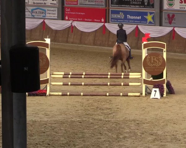 Reitturnier Goch 2018