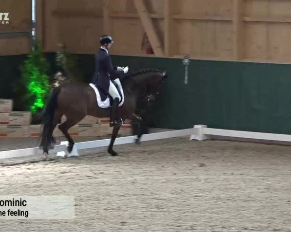 Horsepark Dressage Masters 2018