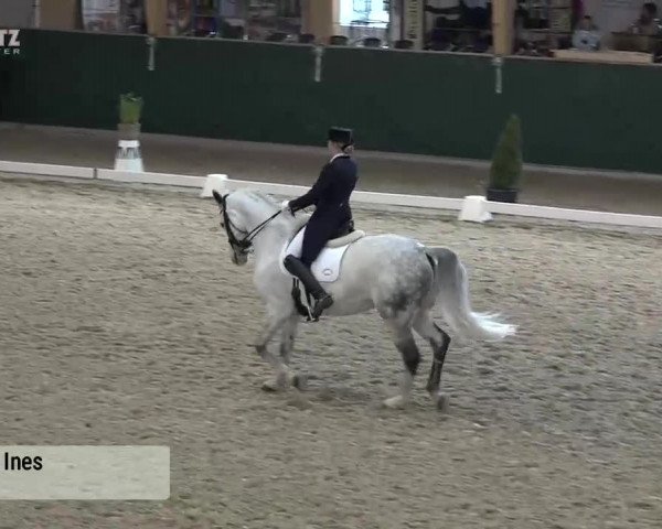 Horsepark Dressage Masters 2018
