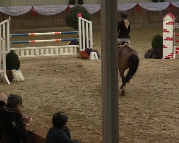 Reitturnier Goch 2018